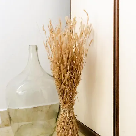 Διαμέρισμα Lauma Ζαντάρ