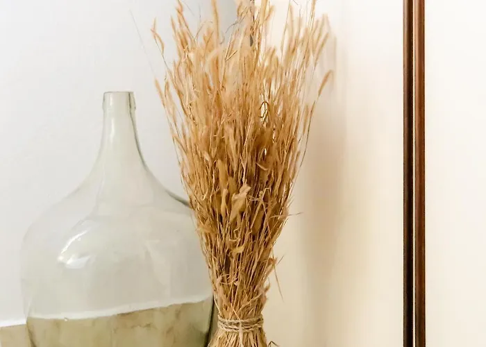 דירה Lauma זאדאר